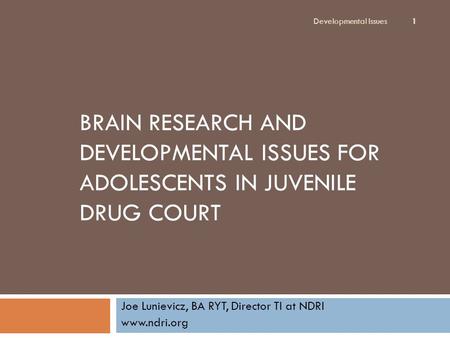 BRAIN RESEARCH AND DEVELOPMENTAL ISSUES FOR ADOLESCENTS IN JUVENILE DRUG COURT Joe Lunievicz, BA RYT, Director TI at NDRI www.ndri.org Developmental Issues.