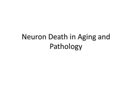 Neuron Death in Aging and Pathology. Pathways to Senescence.
