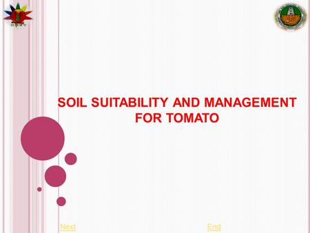 SOIL SUITABILITY AND MANAGEMENT FOR TOMATO NextEnd.