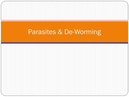 Parasites & De-Worming. Parasites. Small Redworm (small strongyles)- these absorb themselves into the gut wall. They are thin and up to 2.5cm long, and.