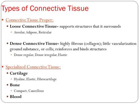 Types of Connective Tissue
