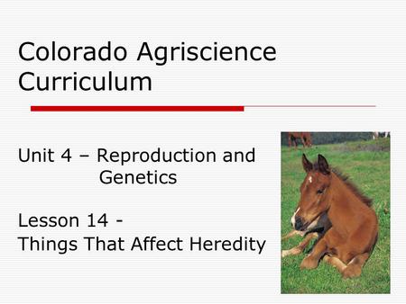 Colorado Agriscience Curriculum Unit 4 – Reproduction and