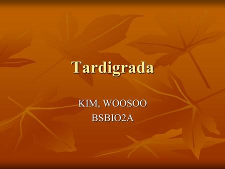 Tardigrada KIM, WOOSOO BSBIO2A. Phylum: Tardigrada Water Bears First discovered in 1773 First discovered in 1773 800 spp 800 spp 0.1-0.5mm in length 0.1-0.5mm.