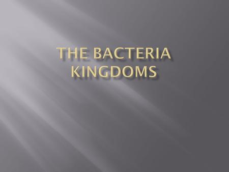 The Bacteria Kingdoms.