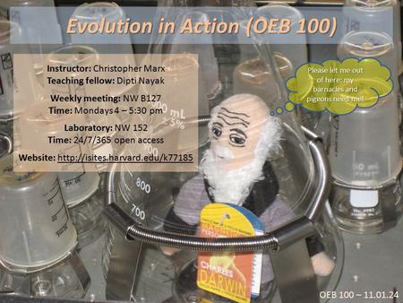 OEB 100 – 11.01.24 Evolution in Action (OEB 100) Instructor: Christopher Marx Teaching fellow: Dipti Nayak Weekly meeting: NW B127 Time: Mondays 4 – 5:30.