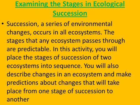 Examining the Stages in Ecological Succession