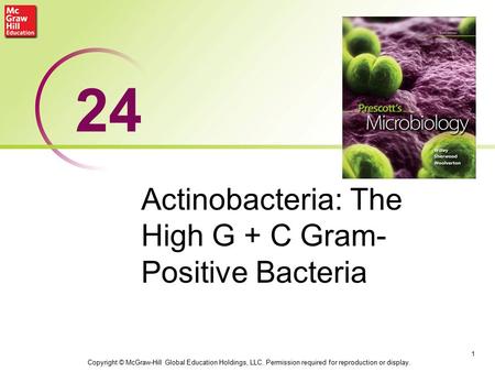 Actinobacteria: The High G + C Gram- Positive Bacteria 1 24 Copyright © McGraw-Hill Global Education Holdings, LLC. Permission required for reproduction.