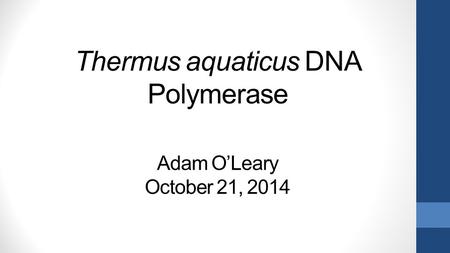 Thermus aquaticus DNA Polymerase Adam O’Leary October 21, 2014.