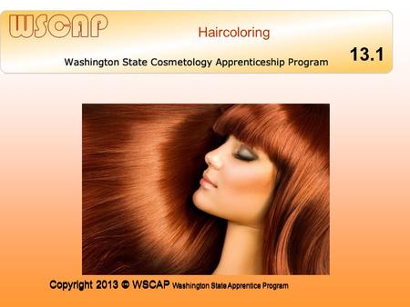COMMUNICATING FOR SUCCESS Haircoloring