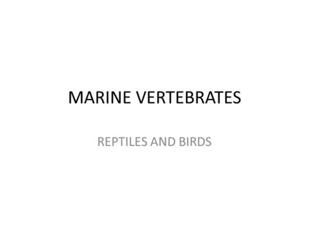 MARINE VERTEBRATES REPTILES AND BIRDS. Transition to Land Acanthostega.