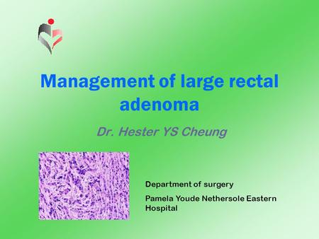 Management of large rectal adenoma Dr. Hester YS Cheung Department of surgery Pamela Youde Nethersole Eastern Hospital.
