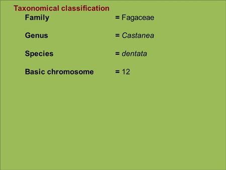 Taxonomical classification Family= Fagaceae Genus= Castanea Species= dentata Basic chromosome= 12.