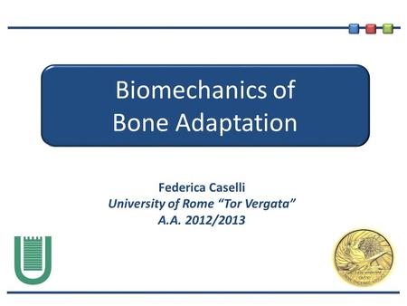 Biomechanics of Bone Adaptation Federica Caselli University of Rome “Tor Vergata” A.A. 2012/2013.