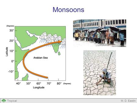 TropicalM. D. Eastin Monsoons. TropicalM. D. Eastin Outline What is a Monsoon? Societal Impacts of Monsoons Indian Summer Monsoon (the Big One) Other.