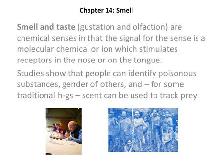 Chapter 14: Smell Smell and taste (gustation and olfaction) are chemical senses in that the signal for the sense is a molecular chemical or ion which stimulates.