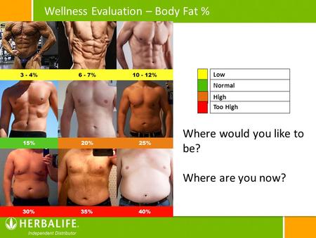 Wellness Evaluation – Body Fat %