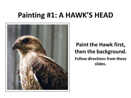 Painting #1: A HAWK’S HEAD Paint the Hawk first, then the background. Follow directions from these slides. Burnt Siena.