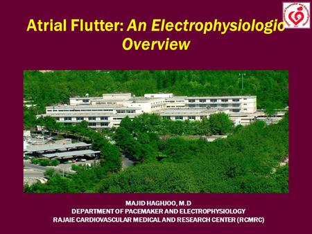 Atrial Flutter: An Electrophysiologic Overview