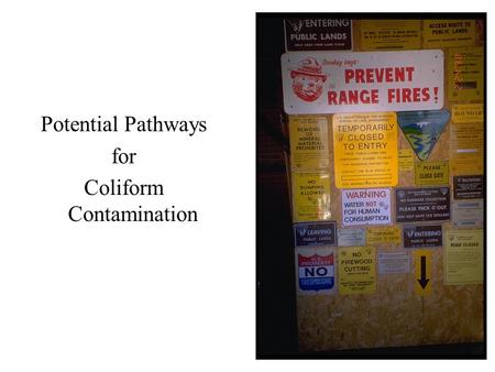 Potential Pathways for Coliform Contamination. Fixing Positive Coliform Results.