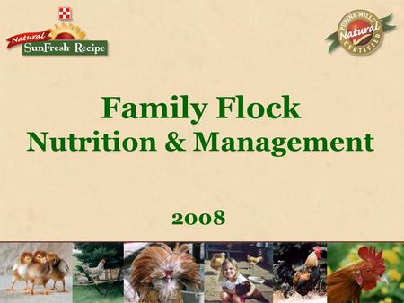 Family Flock Nutrition & Management 2008. Why Do We Own Birds?