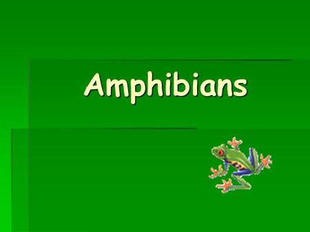 Amphibians.