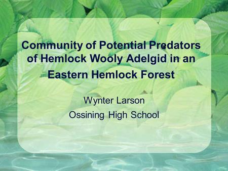 Community of Potential Predators of Hemlock Wooly Adelgid in an Eastern Hemlock Forest Wynter Larson Ossining High School.