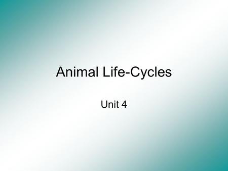 Animal Life-Cycles Unit 4.