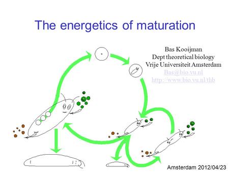 The energetics of maturation Bas Kooijman Dept theoretical biology Vrije Universiteit Amsterdam  Amsterdam 2012/04/23.