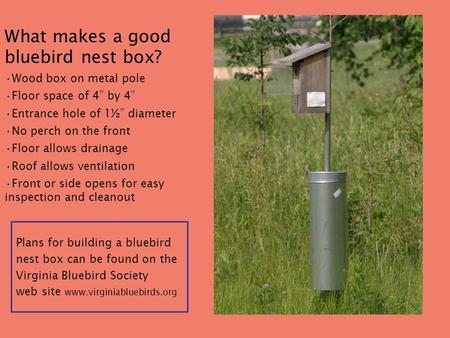 What makes a good bluebird nest box? Wood box on metal pole Floor space of 4” by 4” Entrance hole of 1½” diameter No perch on the front Floor allows drainage.