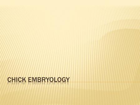Chick Embryology.