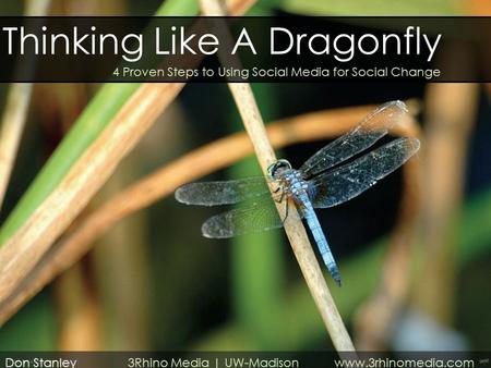 Thinking Like A Dragonfly 4 Proven Steps to Using Social Media for Social Change Don Stanley 3Rhino Media | UW-Madison www.3rhinomedia.com.