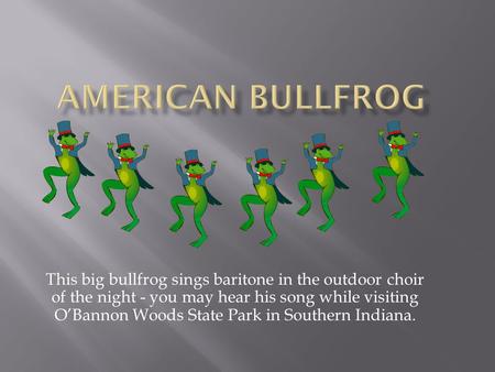 This big bullfrog sings baritone in the outdoor choir of the night - you may hear his song while visiting O’Bannon Woods State Park in Southern Indiana.
