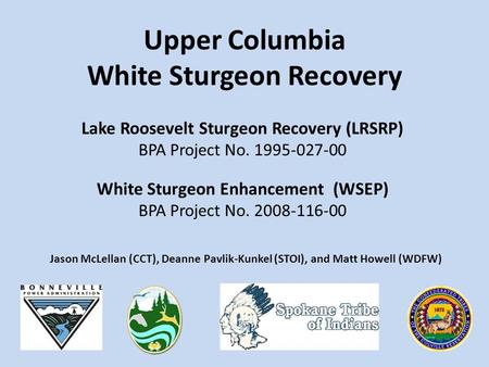 Lake Roosevelt Sturgeon Recovery (LRSRP) BPA Project No. 1995-027-00 White Sturgeon Enhancement (WSEP) BPA Project No. 2008-116-00 Upper Columbia White.