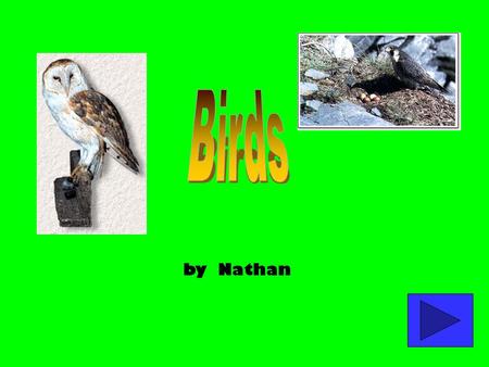 by Nathan 1. Birds Hatching How They Hatch Care of Young 2. Birds of Prey Weapons Body.