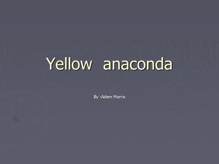 Yellow anaconda By :Adam Morris. Controlling body temperature The yellow Anaconda has scales to cool off. The yellow Anaconda has scales to cool off.