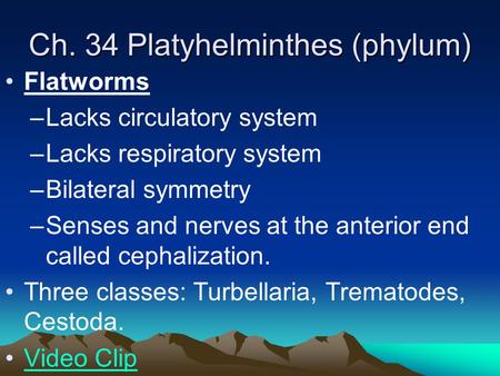 Ch. 34 Platyhelminthes (phylum) Flatworms –Lacks circulatory system –Lacks respiratory system –Bilateral symmetry –Senses and nerves at the anterior end.