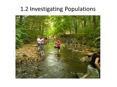 1.2 Investigating Populations. Learning Objectives Recap yesterday. Elaborate on a few things. Study the different ecological techniques used to study.