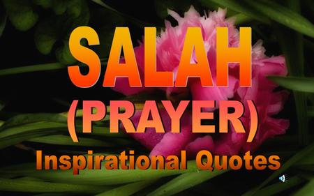 Al-Qur’an on Salah 1. Guard strictly (the five obligatory) As­Salawât (the prayers) especially the middle Salât (i.e. the 'Asr). And.