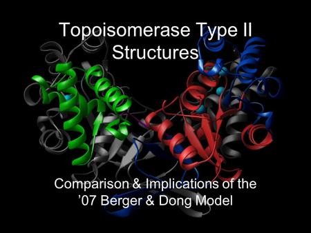 Topoisomerase Type II Structures Comparison & Implications of the ’07 Berger & Dong Model.