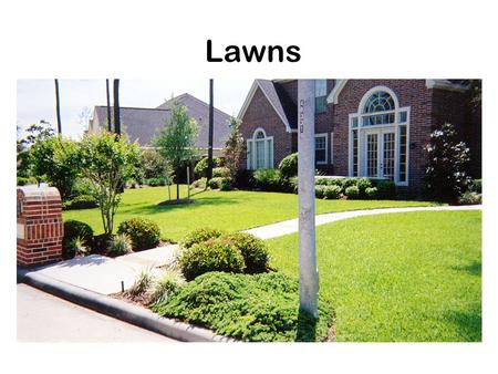 Lawns. Purpose of lawns Ornamental Recreation Utility.