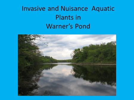 Invasive and Nuisance Aquatic Plants in Warner’s Pond.