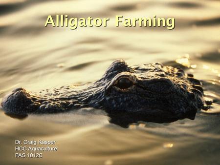 Alligator Farming Dr. Craig Kasper HCC Aquaculture FAS 1012C.