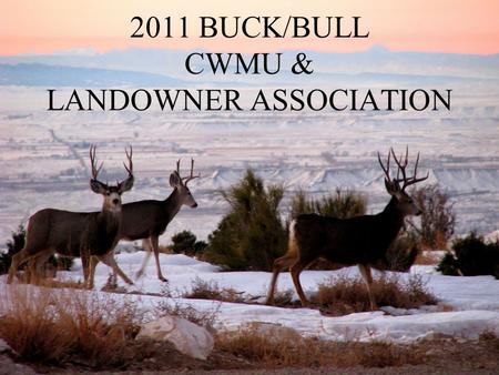 2011 BUCK/BULL CWMU & LANDOWNER ASSOCIATION