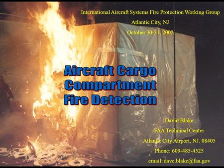 Aircraft Cargo Compartment Fire Detection