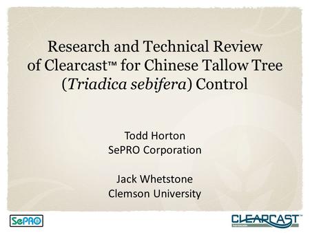 Research and Technical Review