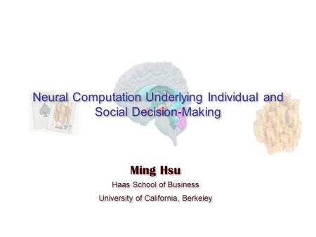 Neural Computation Underlying Individual and Social Decision-Making Ming Hsu Haas School of Business University of California, Berkeley Ming Hsu Haas School.