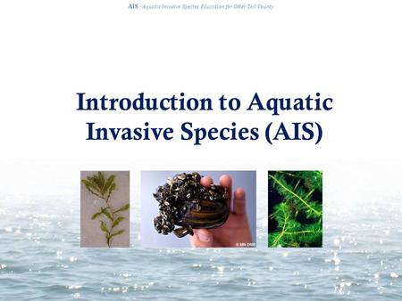 Introduction to Aquatic Invasive Species (AIS) AIS · Aquatic Invasive Species Education for Otter Tail County.