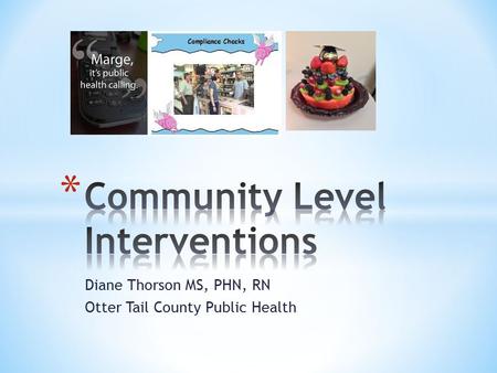Diane Thorson MS, PHN, RN Otter Tail County Public Health.