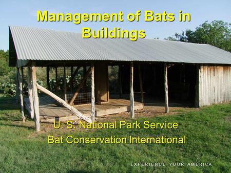 E X P E R I E N C E Y O U R A M E R I C A U. S. National Park Service Bat Conservation International Bat Conservation International Management of Bats.