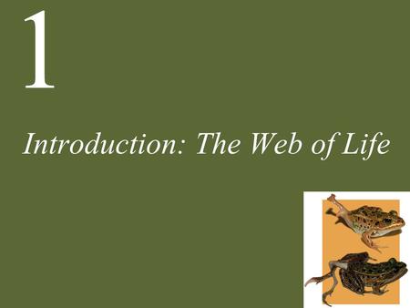 Introduction: The Web of Life